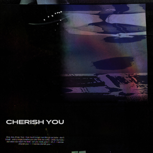 Cherish You (Single)