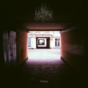 Voies