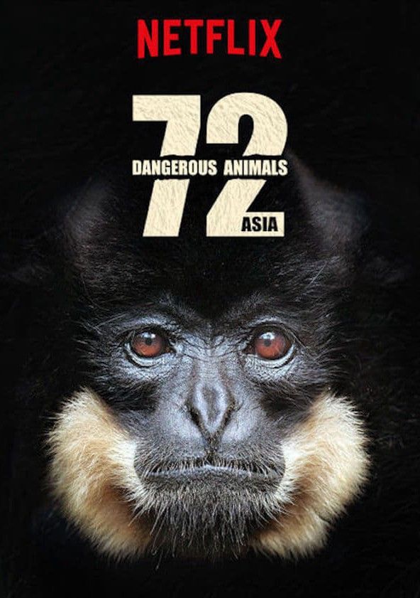 Les 72 Animaux Les Plus Dangereux 72 animaux dangereux en Asie - Série (2018) - SensCritique