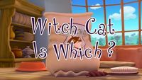 Witch Cat is Which?