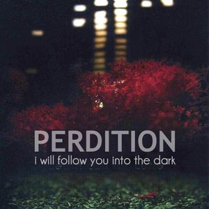 I Will Follow You Into the Dark (Single)