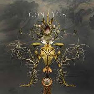 Conatus