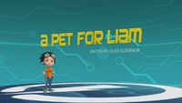 A Pet for Liam