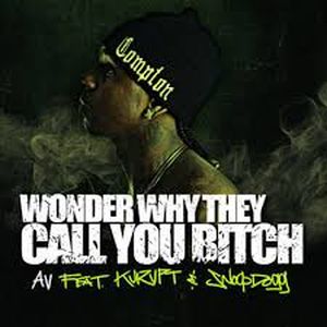 Wonder Why They Call You Bitch (Single)