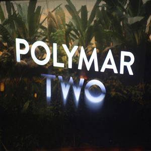 Polymar Two (EP)