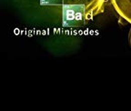 image-https://media.senscritique.com/media/000018105427/0/breaking_bad_original_minisodes.jpg