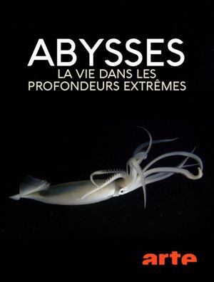 Abysses - La vie dans les profondeurs extrêmes