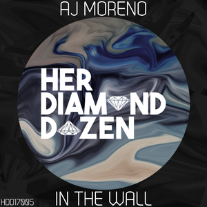 In the Wall (Single)