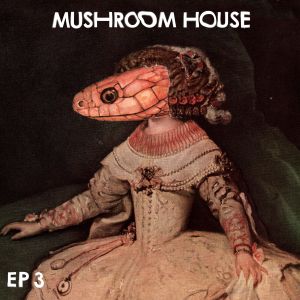 Mushroom House EP 3