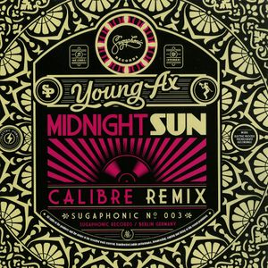 Midnight Sun (Calibre remix)