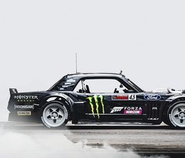 image-https://media.senscritique.com/media/000018115085/0/the_gymkhana_files.jpg