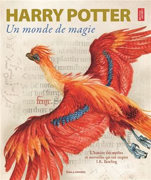 Harry Potter, un monde de magie