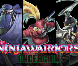 image-https://media.senscritique.com/media/000018117988/0/the_ninja_saviors_return_of_the_warriors.png