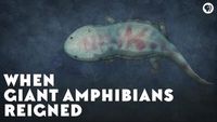 When Giant Amphibians Reigned