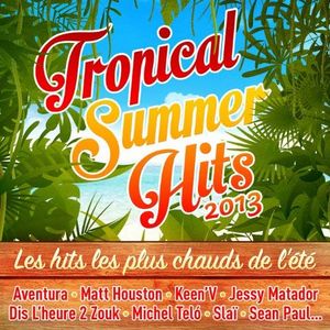 Tropical Summer Hits 2013
