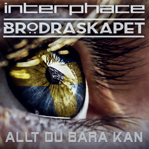 Allt Du Bara Kan (Single)