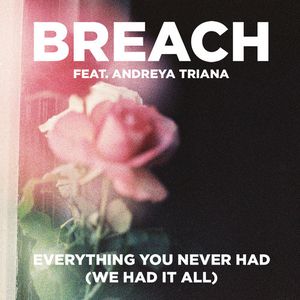 Everything You Never Had (We Had It All) (Single)