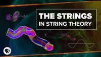 What are the Strings in String Theory?