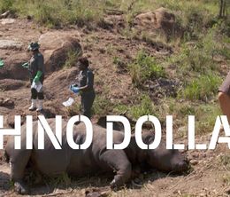 image-https://media.senscritique.com/media/000018130680/0/rhino_dollars.jpg