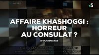 Affaire Khashoggi : horreur au consulat ?