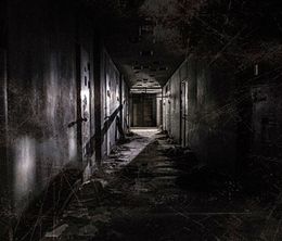 image-https://media.senscritique.com/media/000018136531/0/gonjiam_haunted_asylum.jpg