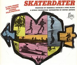 image-https://media.senscritique.com/media/000018138696/0/skaterdater.jpg