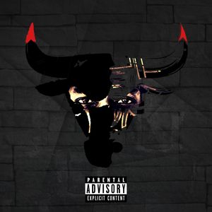 Chicago Bull