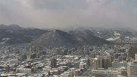 Forests in Sapporo, Winter