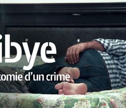 image-https://media.senscritique.com/media/000018144262/0/libye_anatomie_d_un_crime.jpg