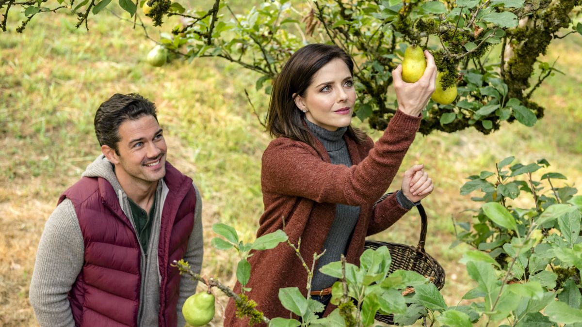 Film La Mort Est Dans Le Pré AUTOMASITES Film La Mort Est Dans Le Pré AUTOMASITES