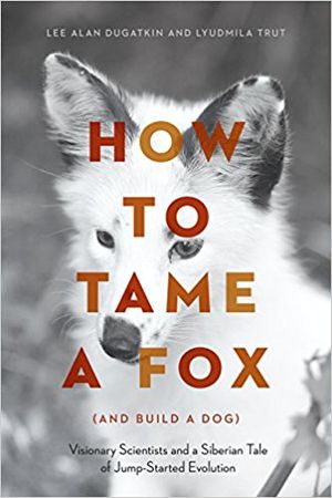 How to Tame a Fox (and build a dog)
