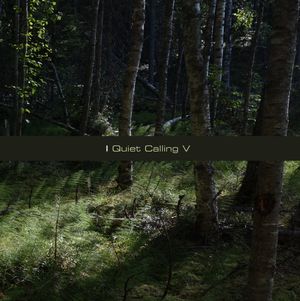 Quiet IV (Short Version)