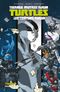 Northampton - Les Tortues Ninja, tome 4