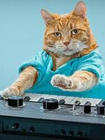 Keyboard Cat