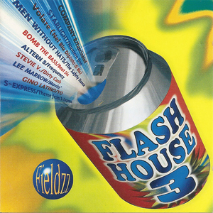 Flash House 3