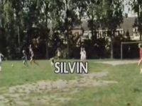 Silvin