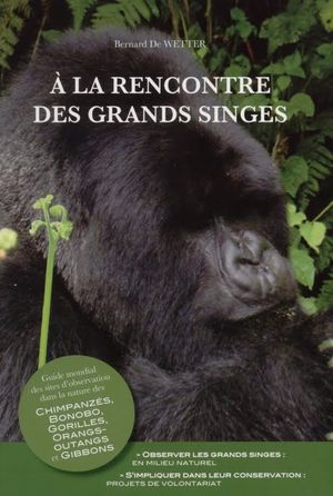 A la rencontre des grands singes