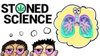 Two Stoned Guys Try To Explain The Respiratory System - STONED SCIENCE