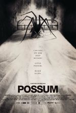 Affiche Possum Affiche Possum