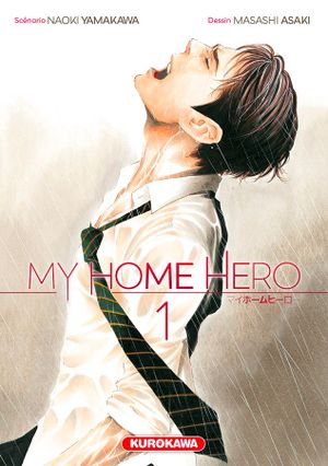 My Home Hero, tome 1