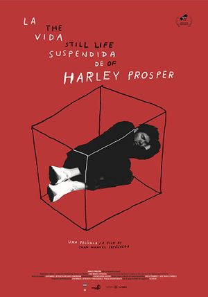 La vie suspendue de Harley Prosper