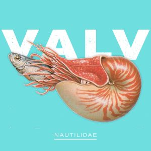 Nautilidae (EP)