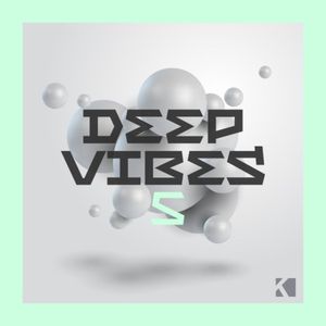 Deep Vibes, Vol. 5 (A Fine Deep House Selection)