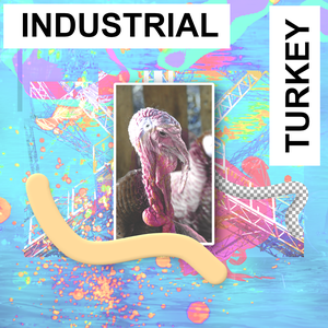 Industrial Turkey