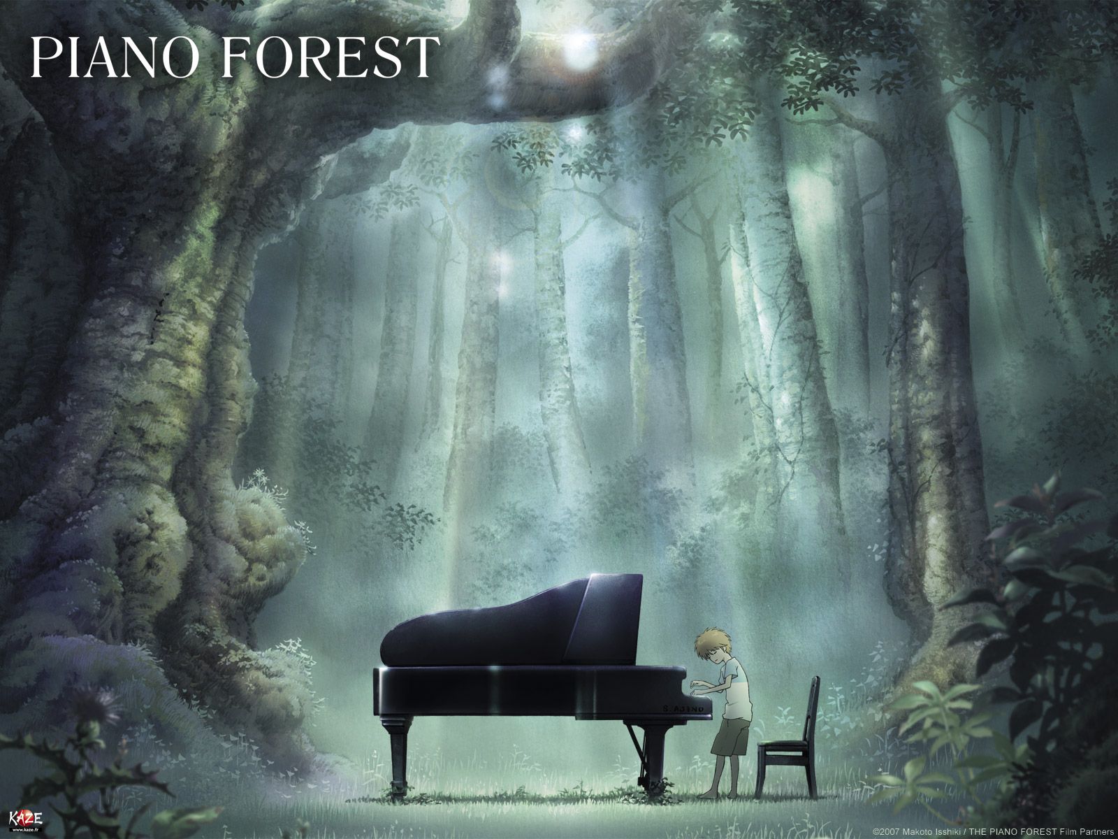 Le Piano Dans La Forêt Film