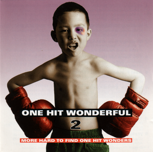 One Hit Wonderful, Volume 2