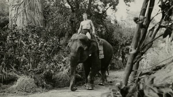 Tarzan et la Diablesse