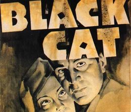 image-https://media.senscritique.com/media/000018216269/0/the_case_of_the_black_cat.jpg