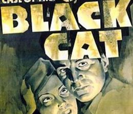 image-https://media.senscritique.com/media/000018216271/0/the_case_of_the_black_cat.jpg