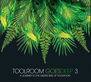 Toolroom Goes Deep 3